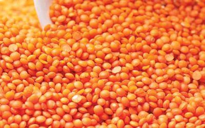 বাজারে সব ধরনের ডালের দাম চড়া