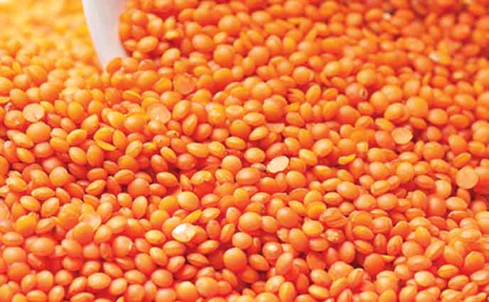 বাজারে সব ধরনের ডালের দাম চড়া