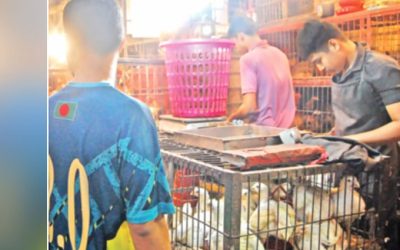 সবজি না কিনে ব্রয়লার মুরগি কিনছেন ক্রেতা