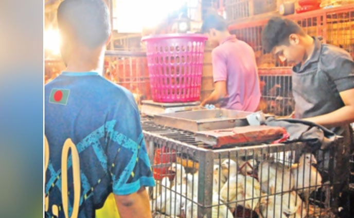 সবজি না কিনে ব্রয়লার মুরগি কিনছেন ক্রেতা