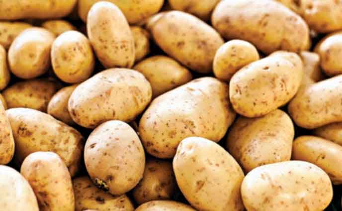 আলুর ব্যবহার ও রপ্তানি বাড়াতে আন্তর্জাতিক প্রদর্শনী