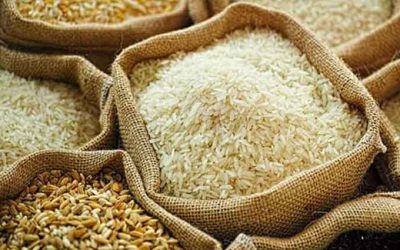 ৬ লাখ টন চাল ও গম আমদানি করছে সরকার