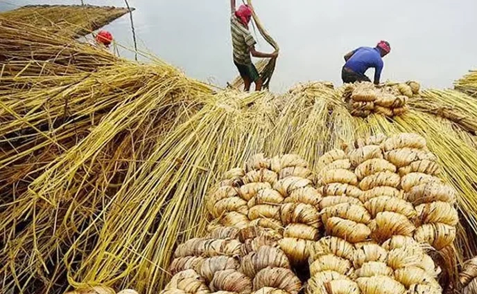 কাঁচা পাট রপ্তানি পুরোপুরি বন্ধের দাবি