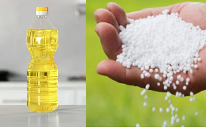 ১ কোটি লিটার সয়াবিন তেল ও ৪০ হাজার টন ইউরিয়া কিনবে সরকার