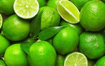 লেবুর দাম বাড়ার নেপথ্যে দায়ী কারা?