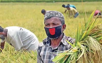 কৃষিঋণ মওকুফে বাজেট থেকে ১৫৬৭ কোটি টাকা ছাড়
