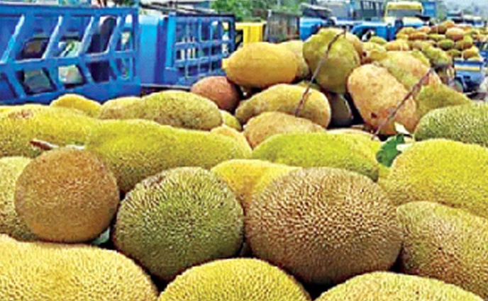 চীনে রপ্তানির অপেক্ষায় বাংলাদেশের কাঁঠাল