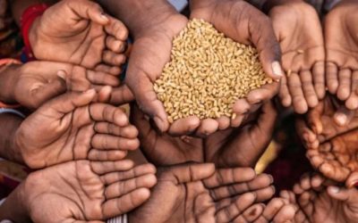 তীব্র খাদ্য সংকটে পড়া ১০ দেশের একটি বাংলাদেশ