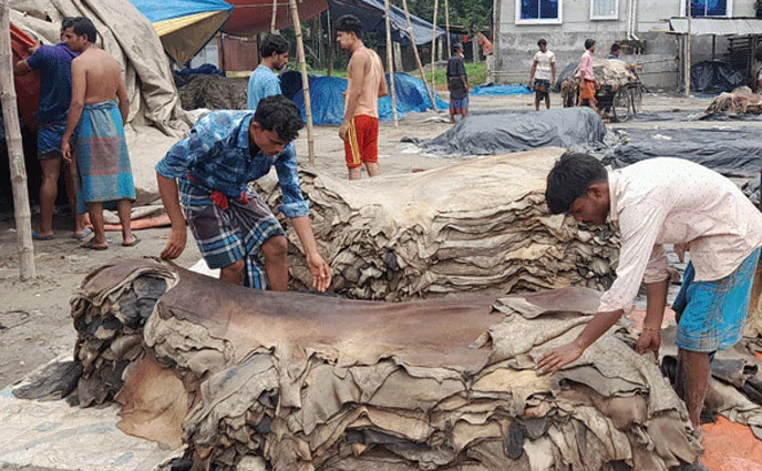 বেড়েছে কোরবানির গরুর চামড়ার দাম