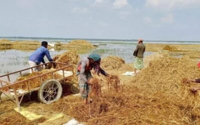 হাওরের ক্ষতিগ্রস্ত কৃষকদের ঋণ দিতে বিশেষ নির্দেশনা